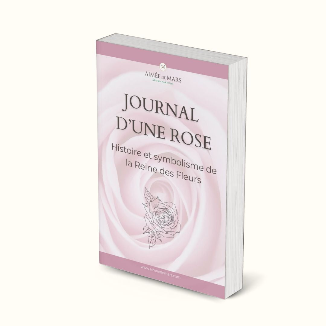 E-book gratuit &quot;Journal d&